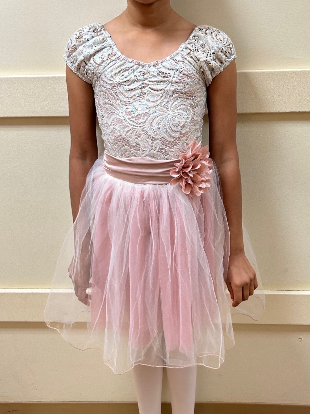 A Wish Come True IMC "The Painter" Pink Ballet Costume